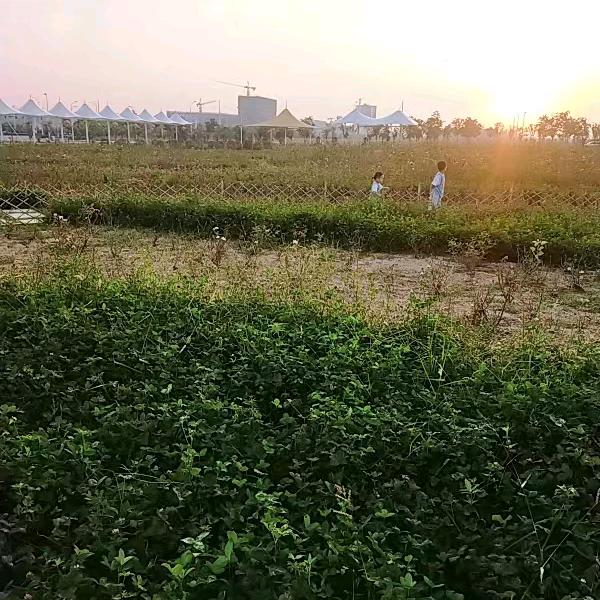 一帆风顺，