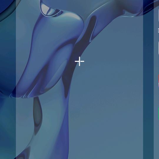 洪军