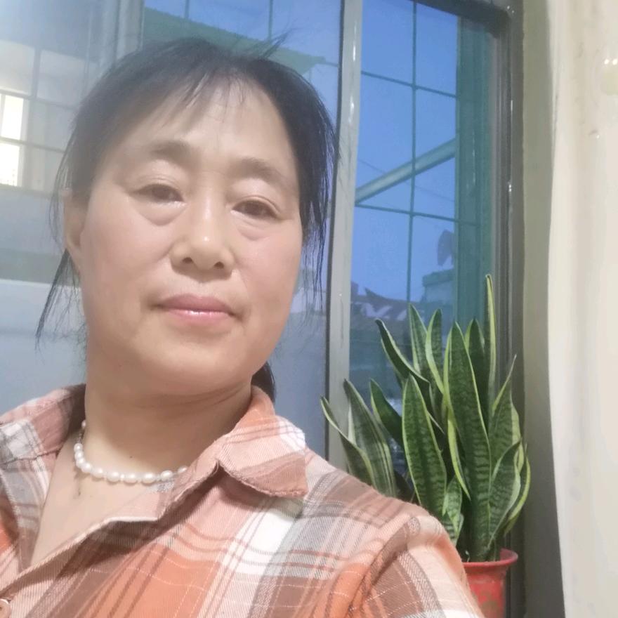 60后的太阳花，学驾照找我