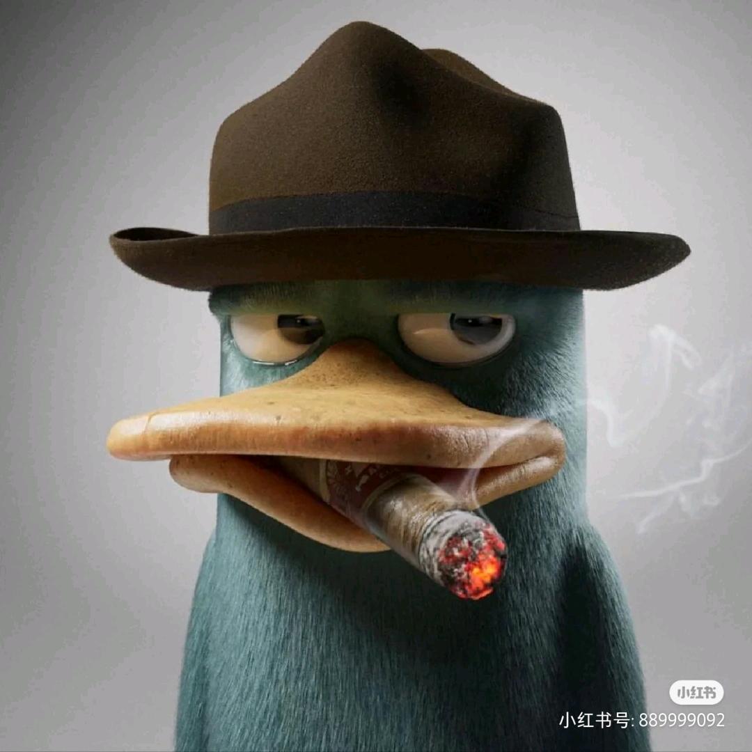 30岁的老北鼻