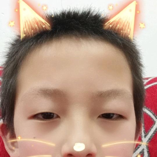 邢贺同