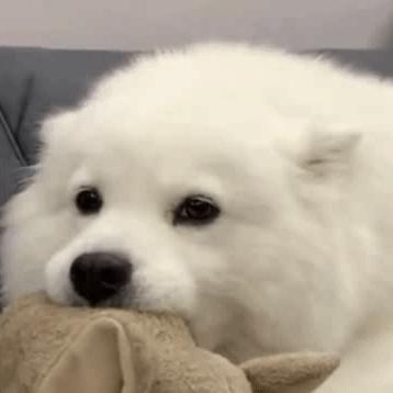 小kkkkk