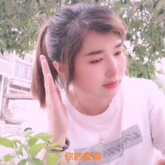 雷老五🌲