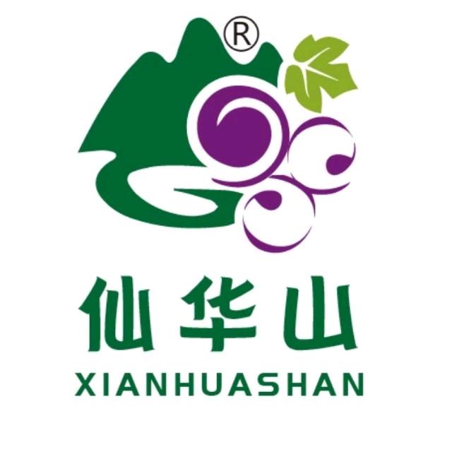 浦江仙华山葡萄