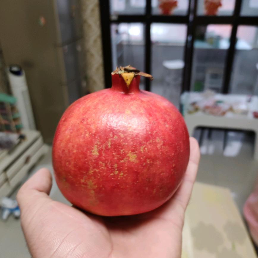 秦大侠