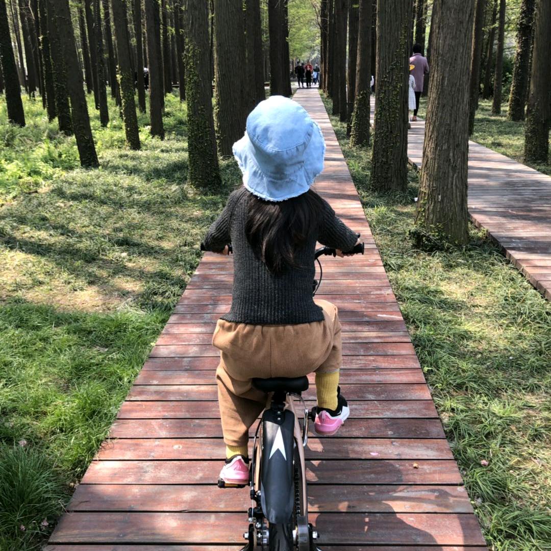 银凤