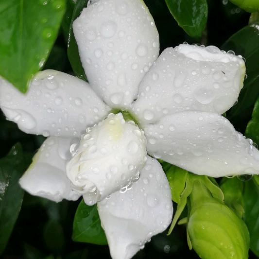 🐉🐉稳哥🐉🐲