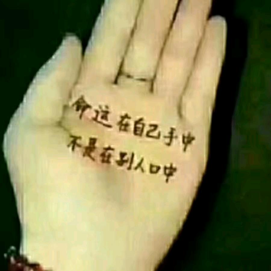 诺菲