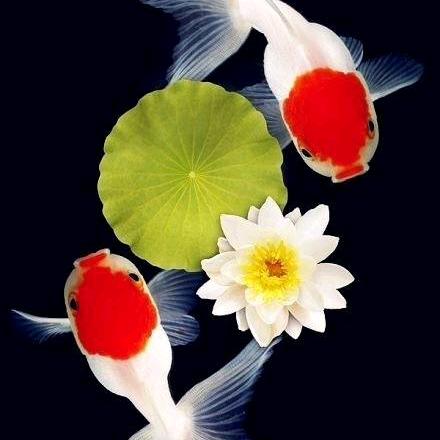 达观天下6252064829588