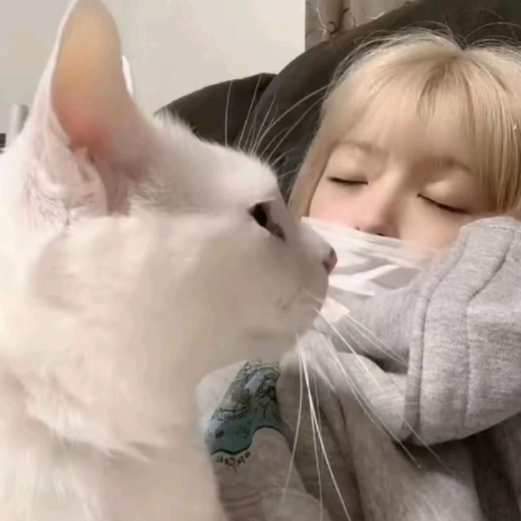 琴ㅤㅤㅤ