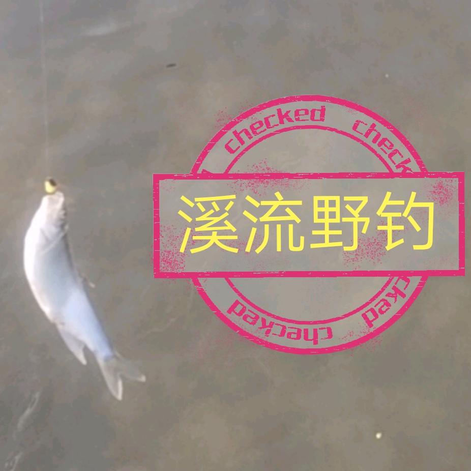溪流喂鱼人