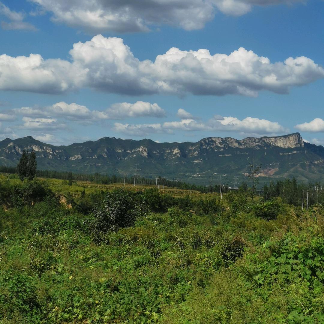 平山县猕猴桃王国