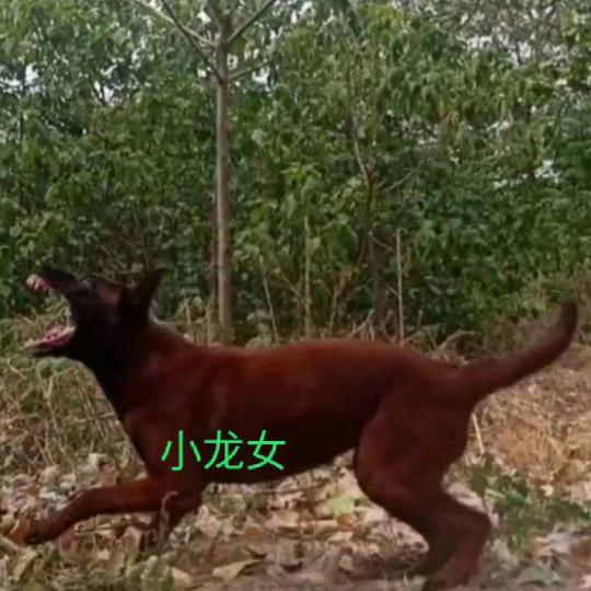 @思钱～@想厚@～@