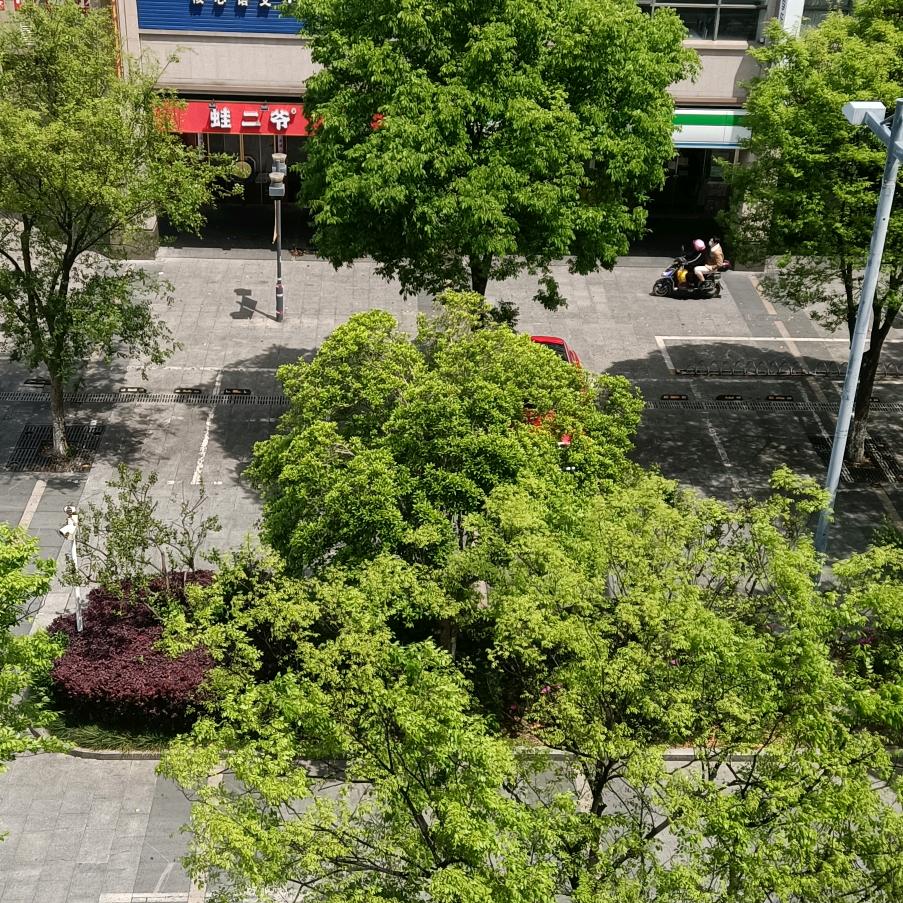 好人一生平安