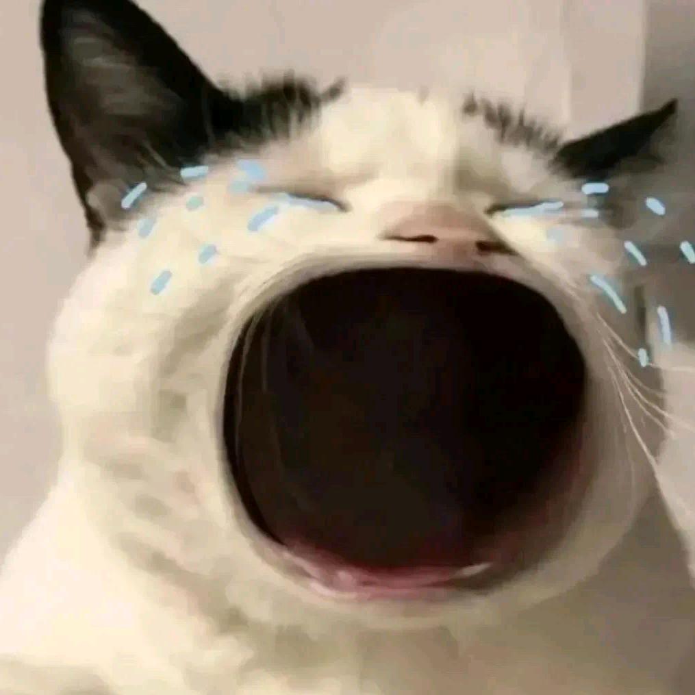 倒也是这样