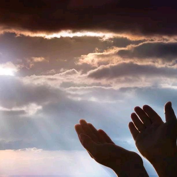 万邦联合之老蔡