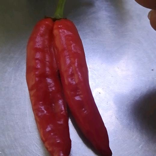 我要开心每一天\_