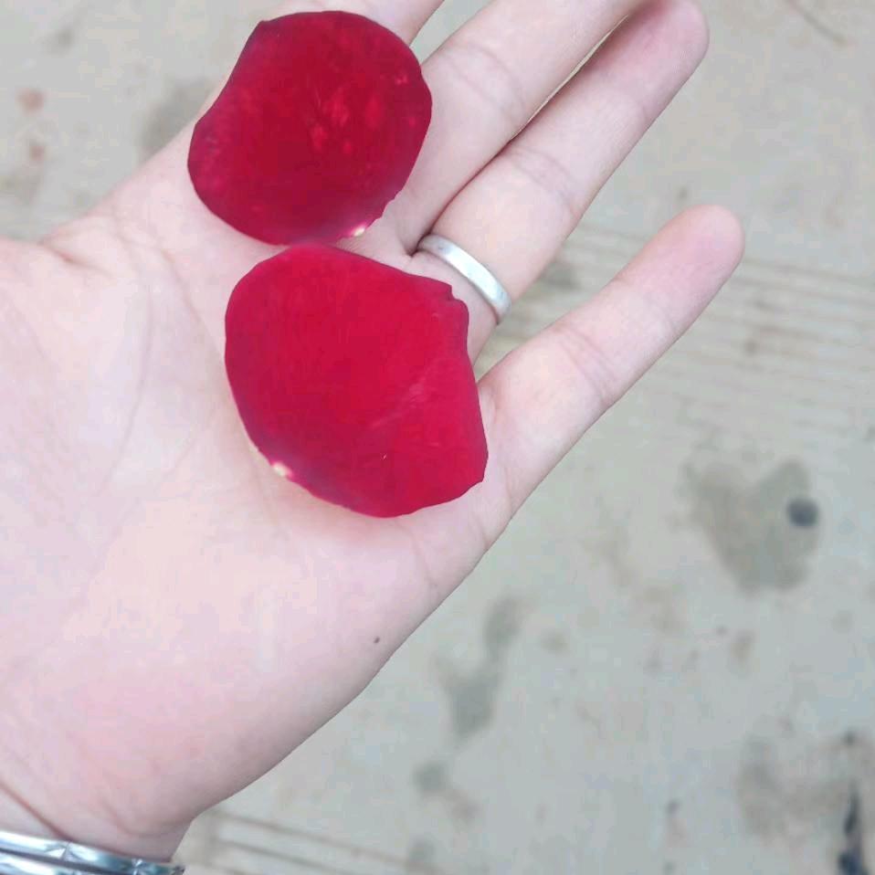 随缘