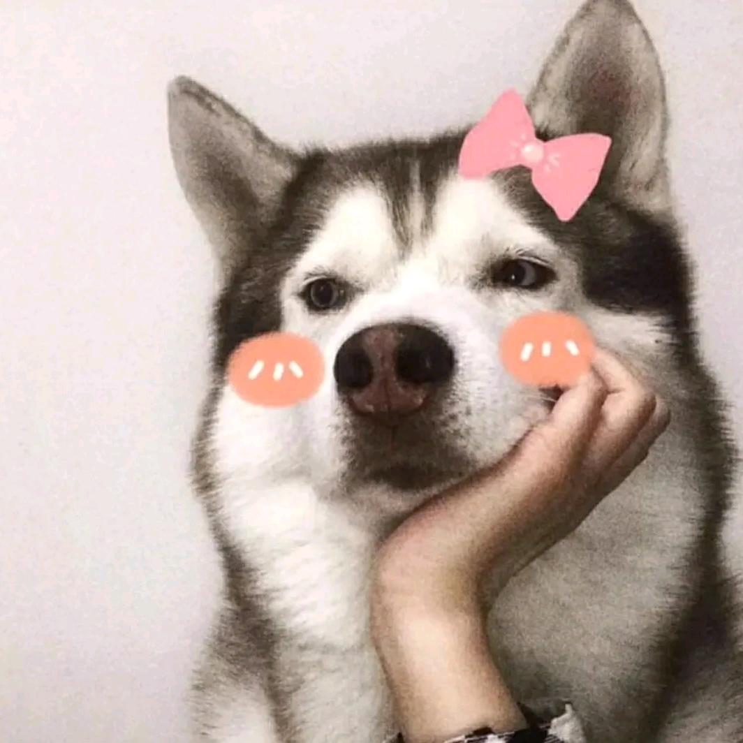 智慧林可🍭