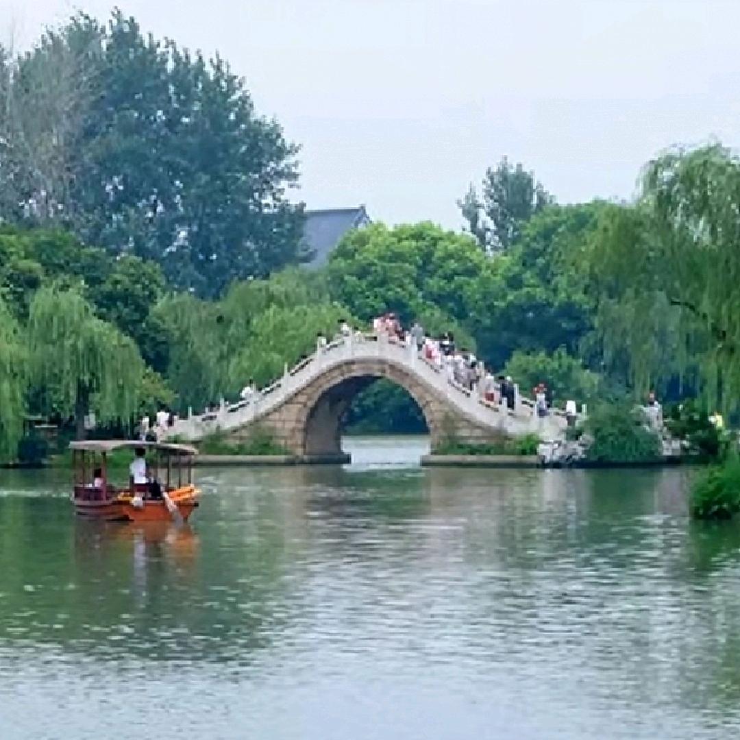 常青树