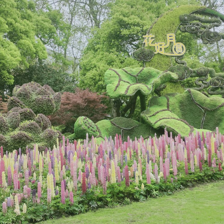 ღ᭄花好月圆ღ