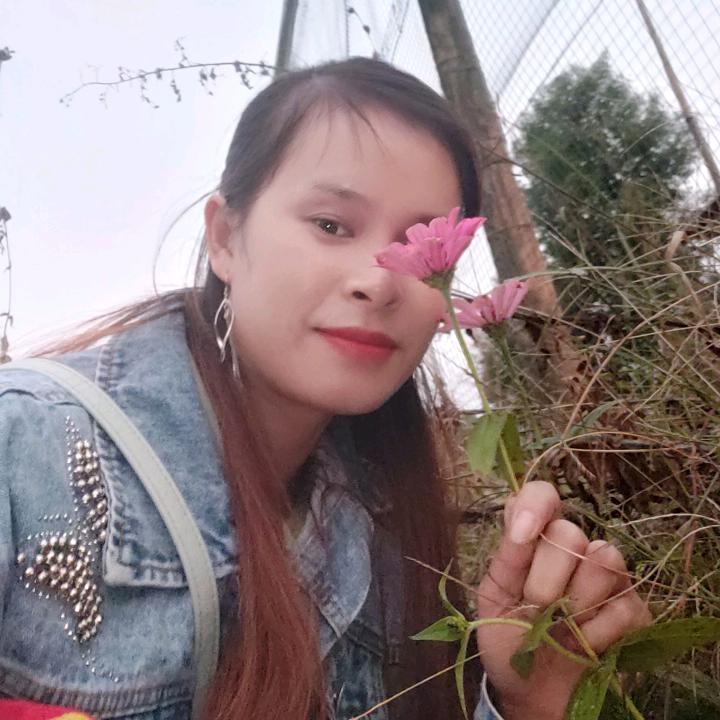 小蝶呀