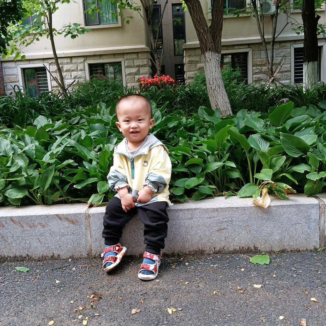 大漠孤狼