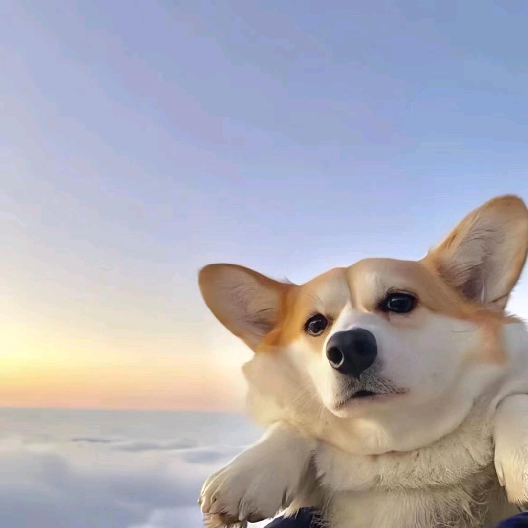 你压我腿毛了！