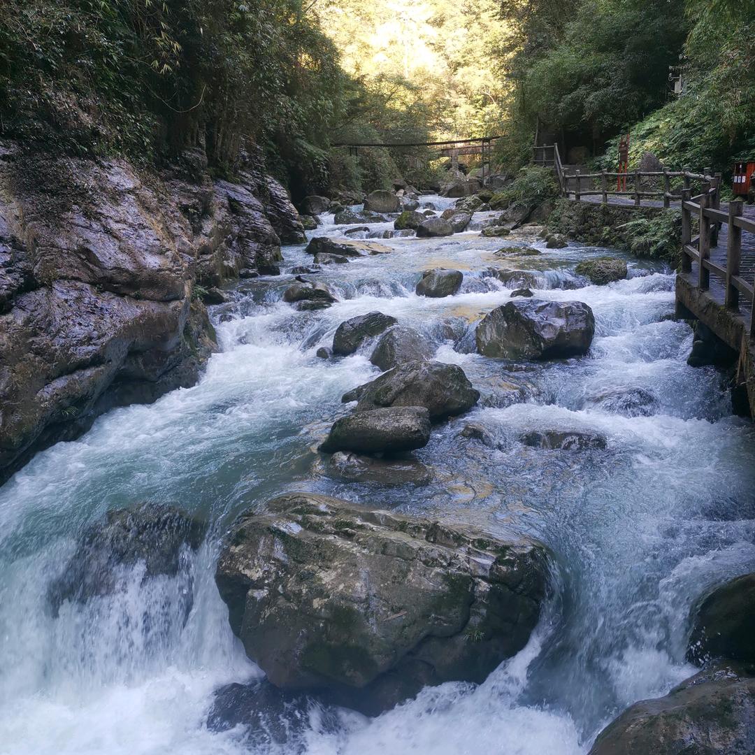 杰哥，杰子头像