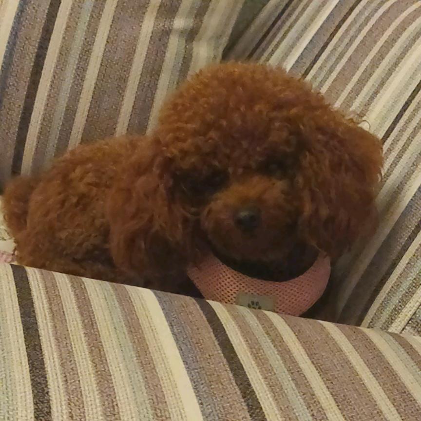 🌻🐰金城🐶🌻