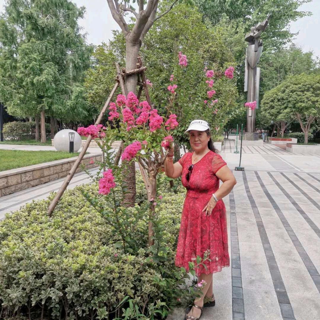 彩云归