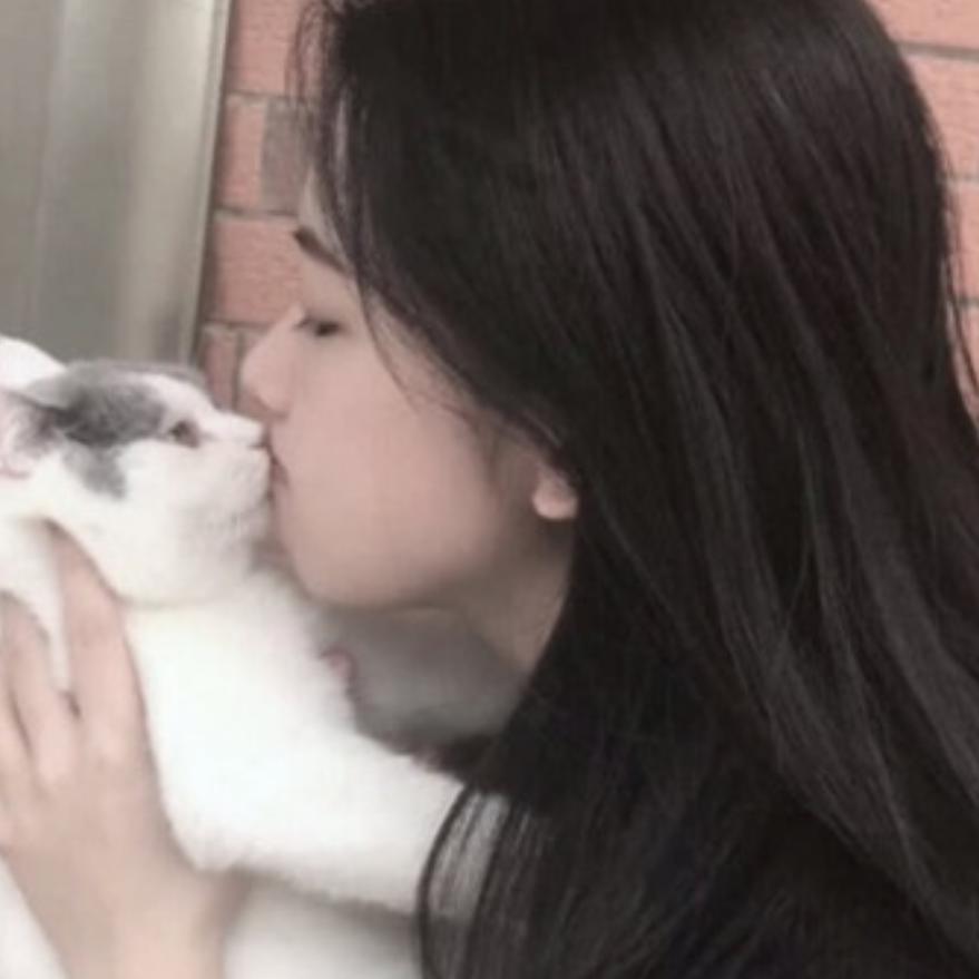 秋小猫