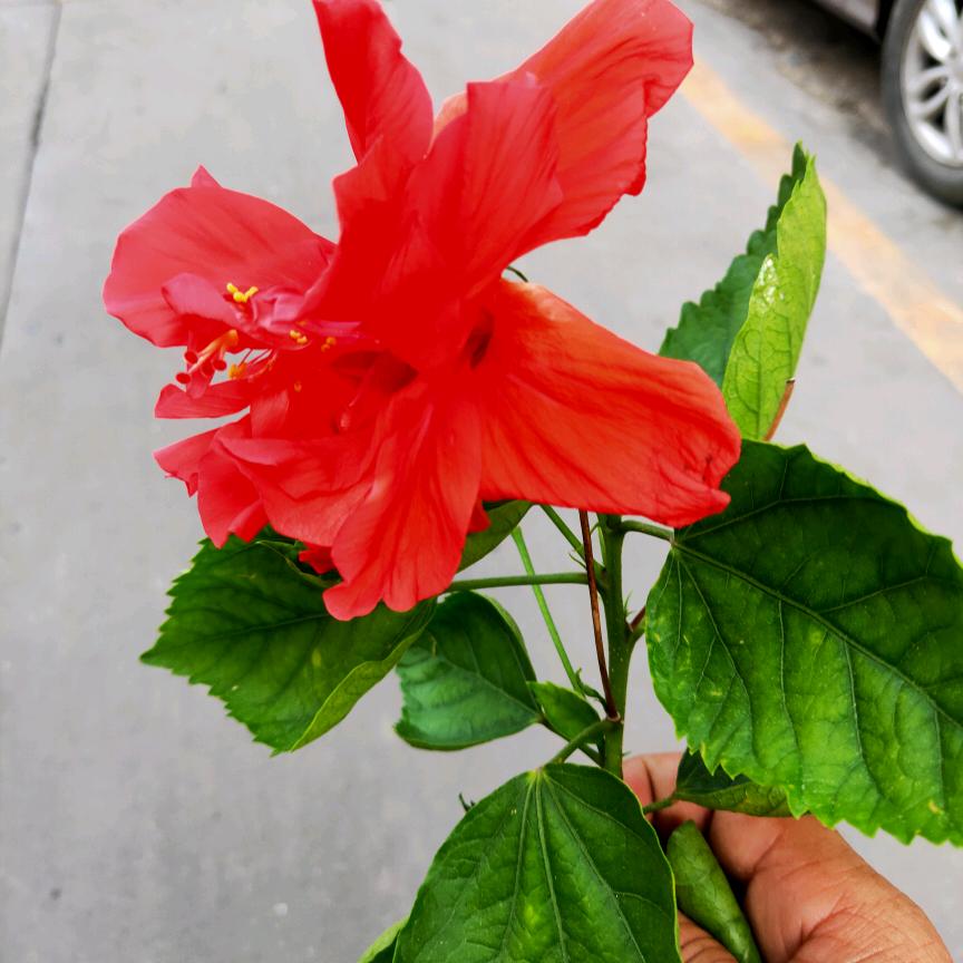 @简单点好