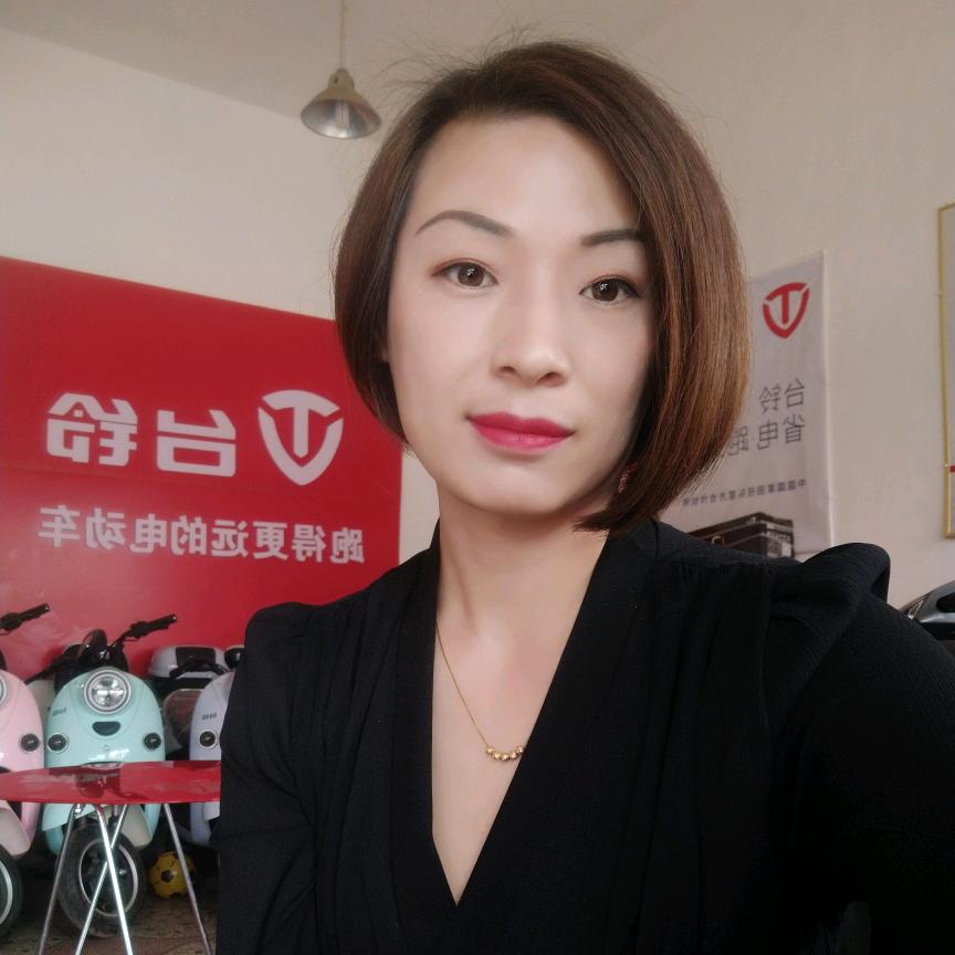 淡村黄鹏台铃电动车