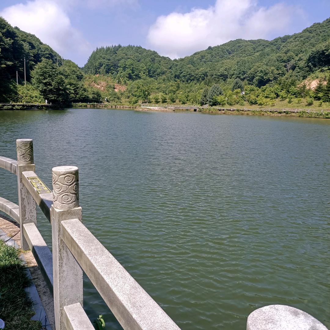 鹏哥子