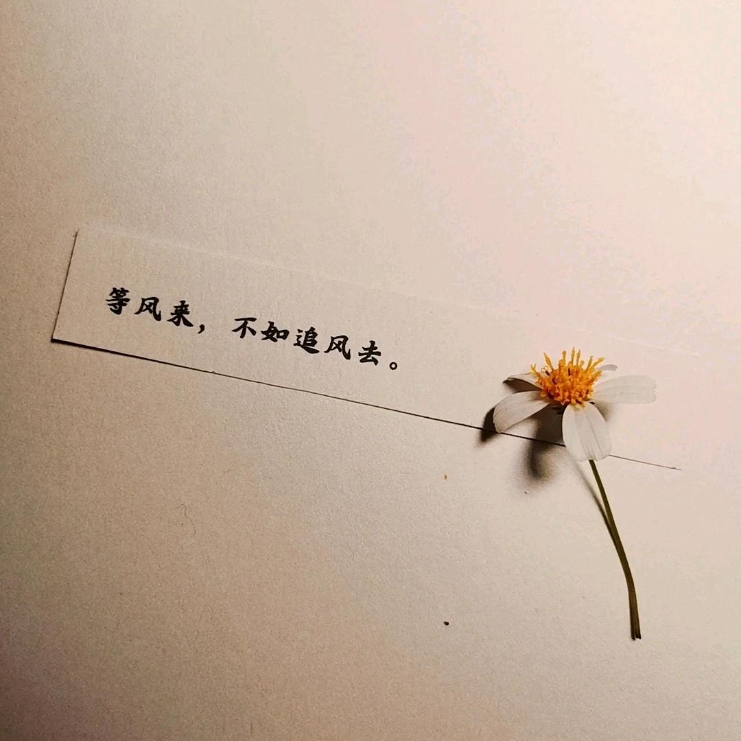 嗨！好久不见