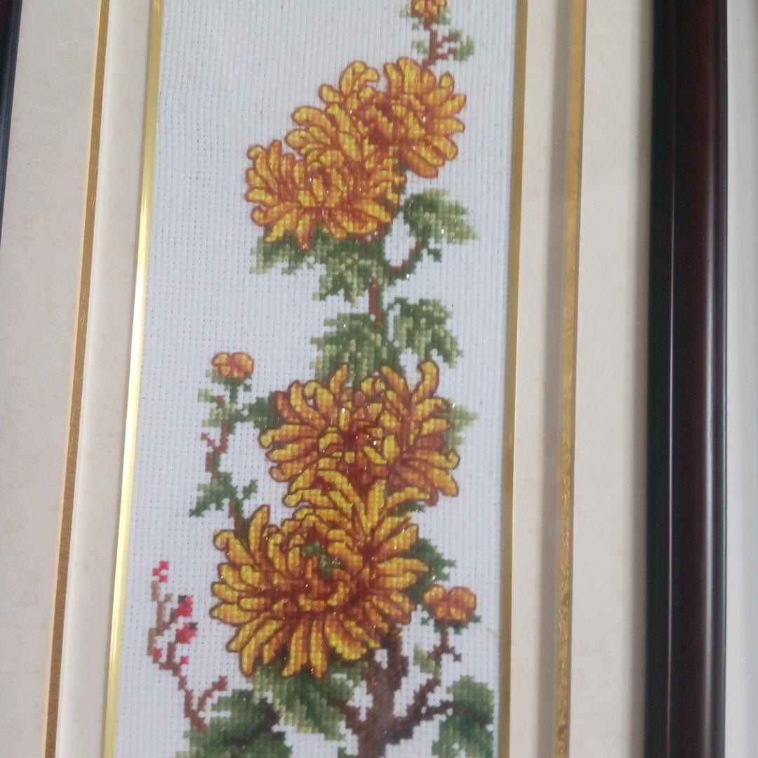 A1🇨🇳🎶心情