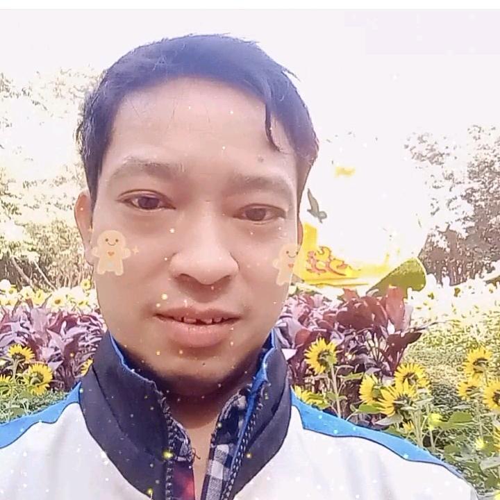 🌹红尘情歌🌹