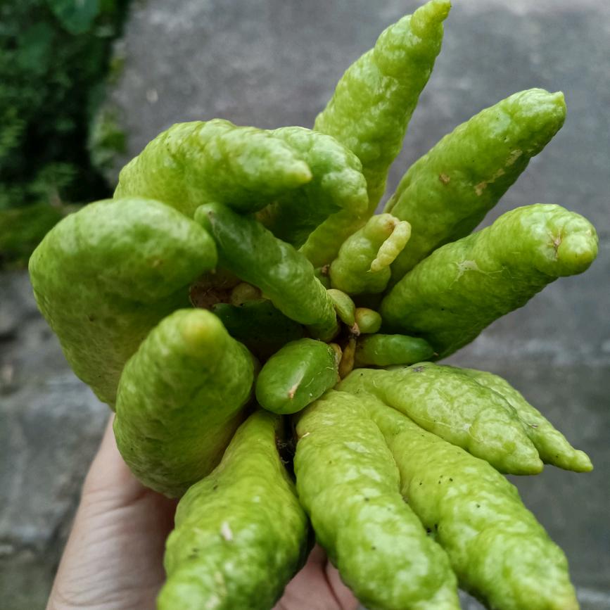 76年的懒龙🐉🐉🐉