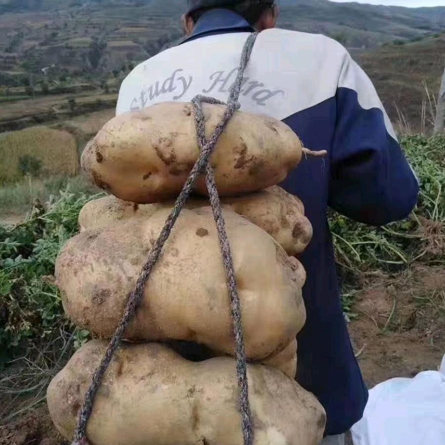 还有我，