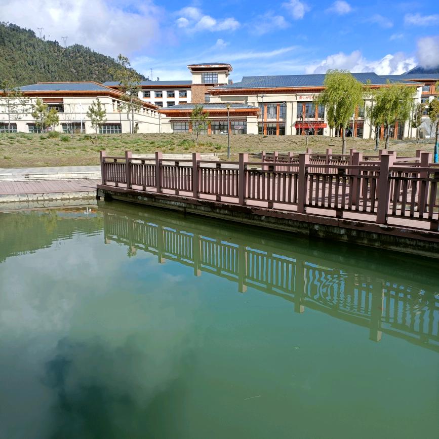 苦涩 记忋