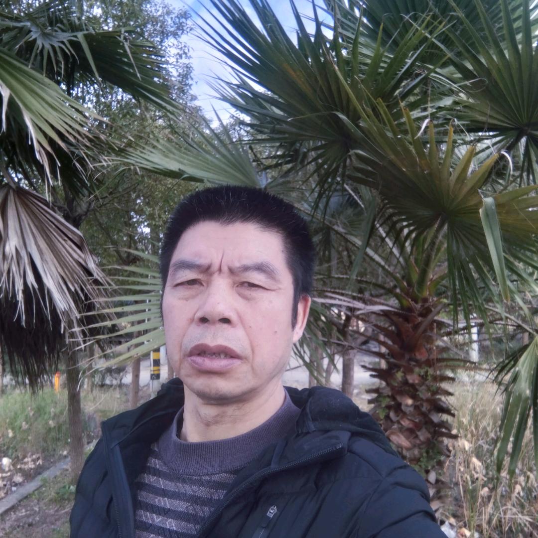 发发天天开心