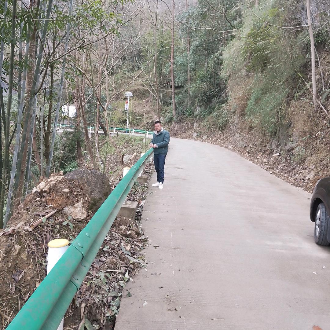 苦涩