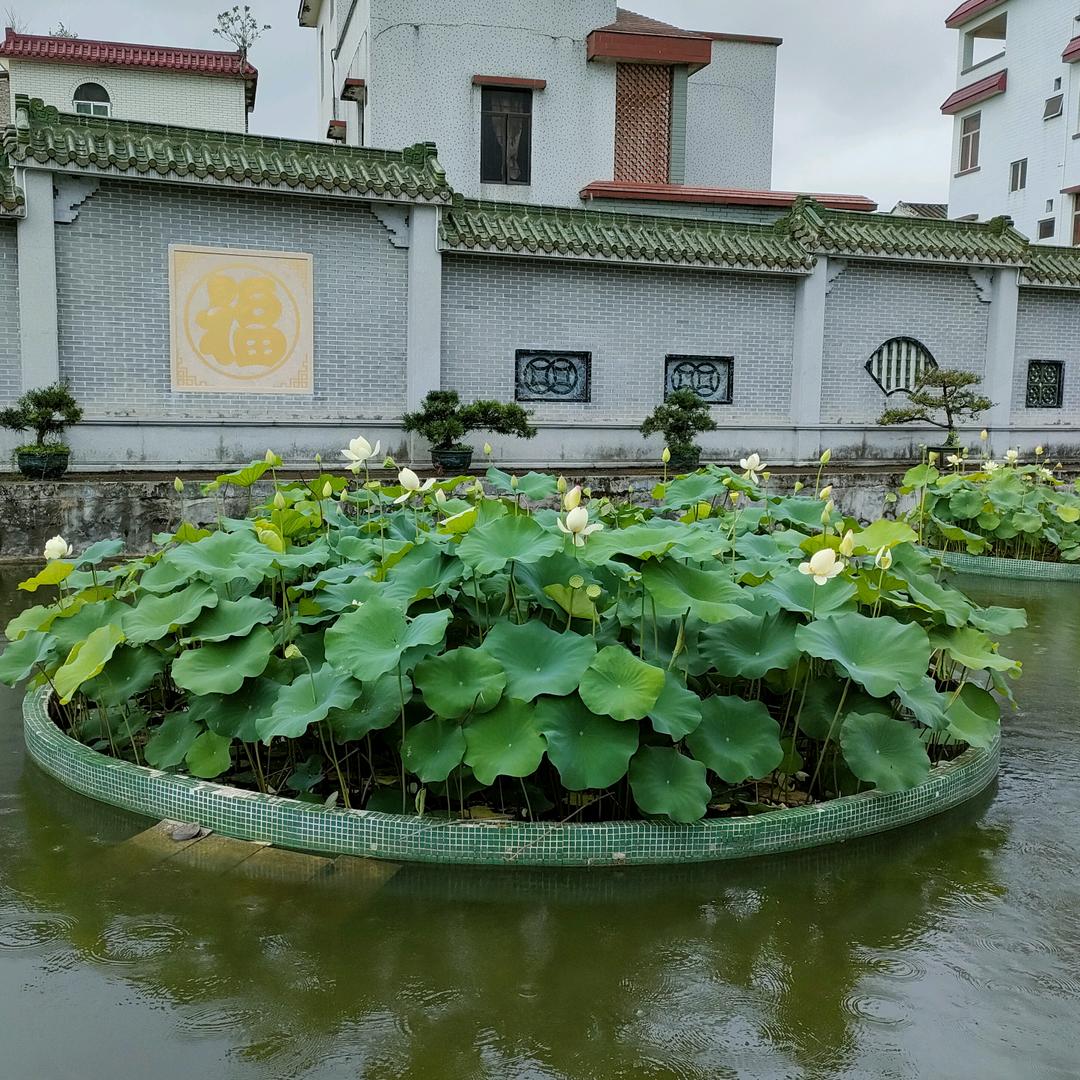 阿凯