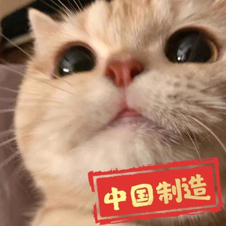 张宠儿