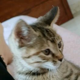 小海螺童装优选