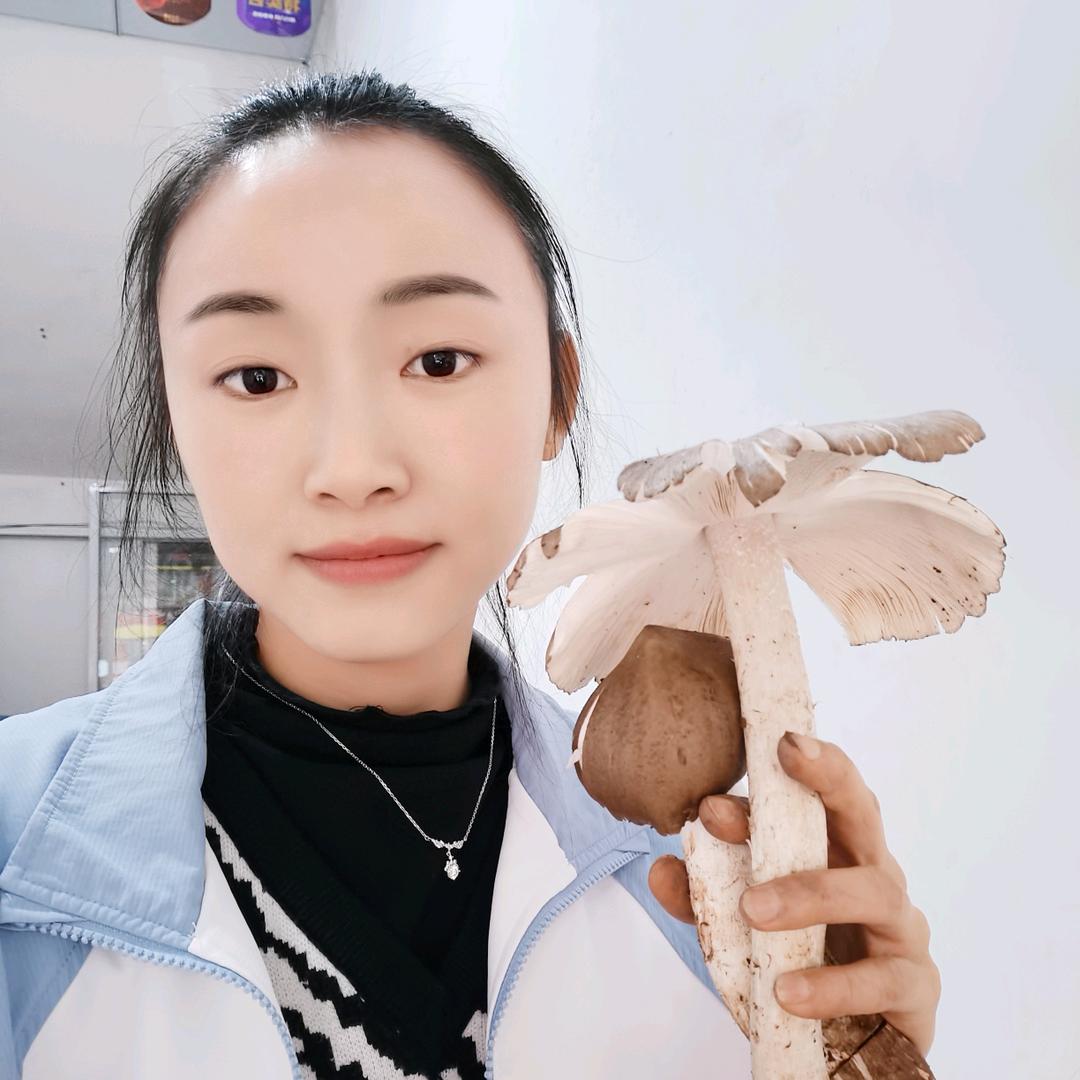 小雨～菌聚源食材
