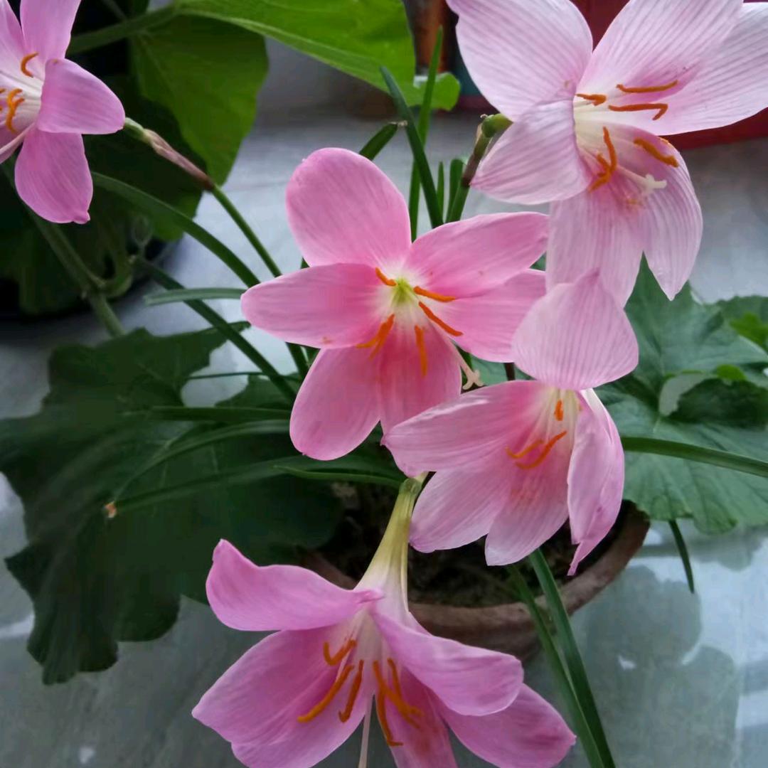 永远在我心底