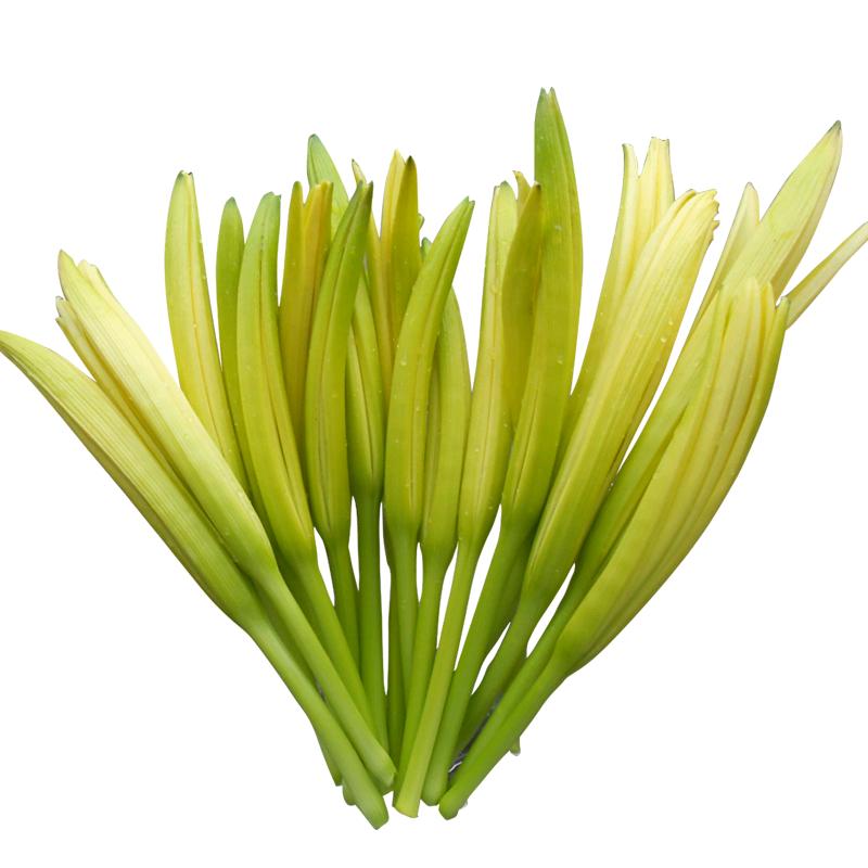 英洁丽生物科技