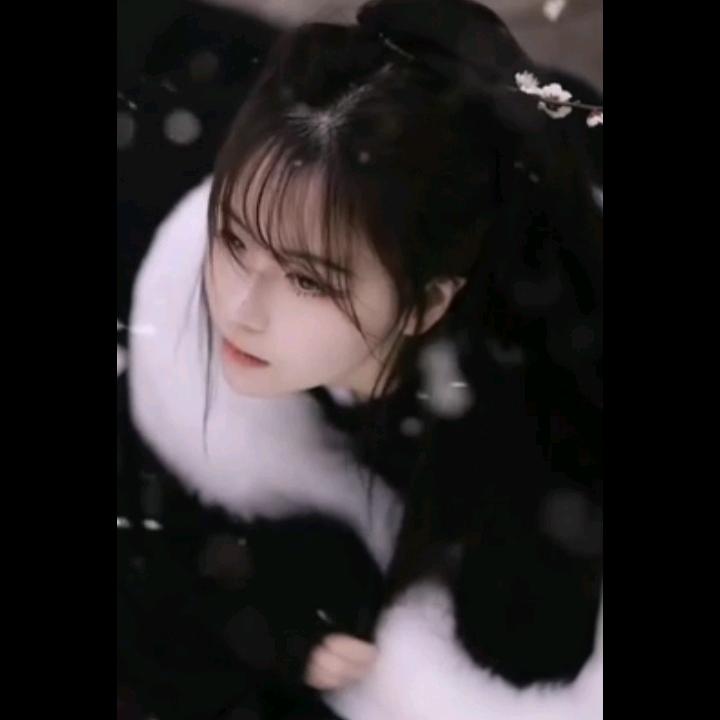国域风情 (锅庄舞)